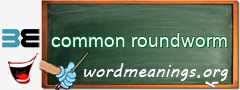 WordMeaning blackboard for common roundworm